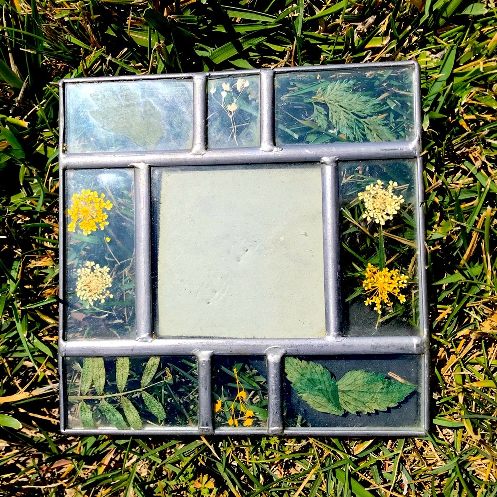 Frame w/ pressed flowers